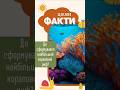 Де сформувався найбільший кораловий риф? Цікаві факти для дітей #shorts #shortsvideo #facts #animals