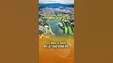 Cứ mưa là ngập, Đà Lạt đang báo động đỏ... #xland #tintuc #dalat #baoloc #ngaplut #baolu