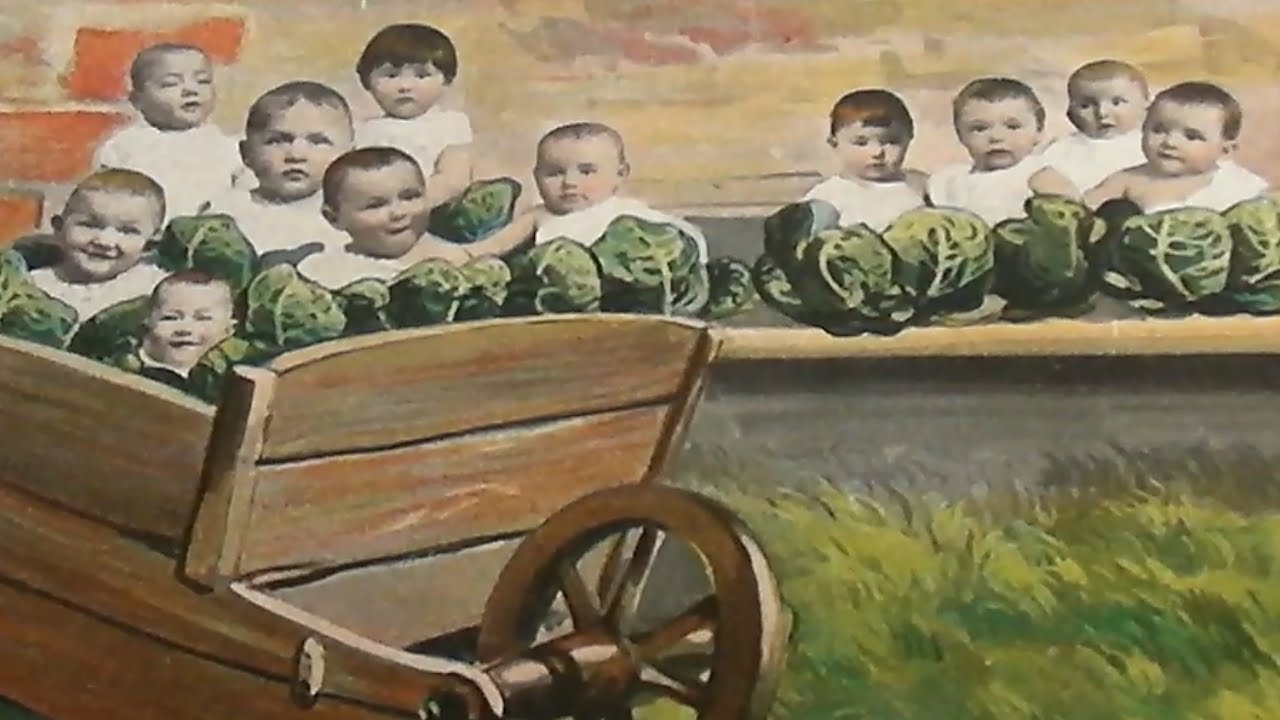 Creation Baby Myths Folklore Storks Cabbage Patch Babies YouTube