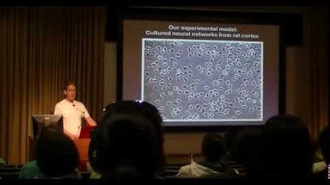 Dr. Steve Potter - Closed-loop, open-source electrophysiology p1/2