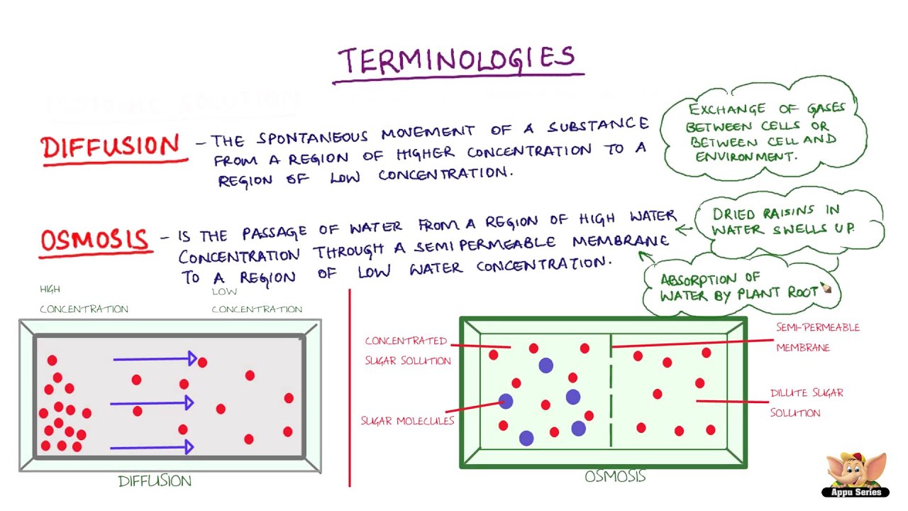 Definition of Diffusion, Osmosis and Types of Solutions