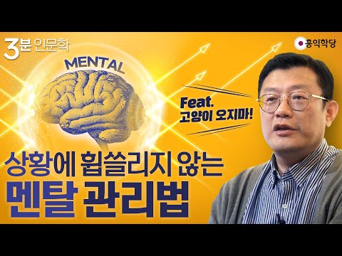 [3분 인문학] 상황에 휩쓸리지 않는 멘탈 관리법(고양이 오지 마!)
