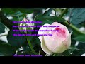 映画音楽VI  The Days Of Wine And Roses{酒とバラの日々}Andy Williams   COVER  yun221