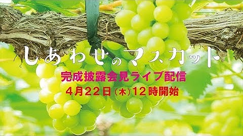 【LIVE】映画「しあわせのマスカット」完成披露会