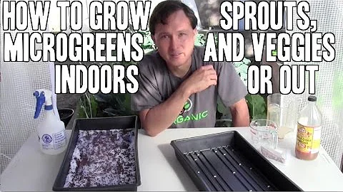 How to Grow & Use Sprouts, Microgreens & Green Vegetables Indoors or Out