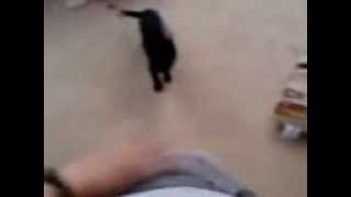 Cat Jeans