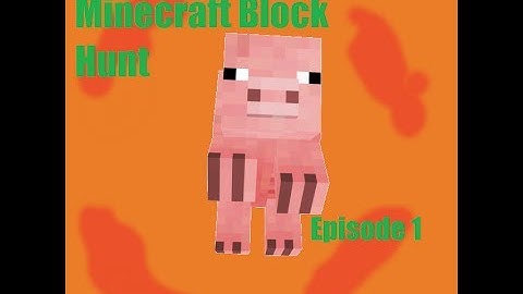 Minecraft:Block Hunt- Just Being a pig