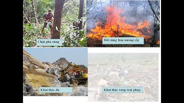 GDCD 8 - Nghĩa vụ tôn trọng bảo vệ tài sản nhà nước và lợi ích công cộng - THCS Mỹ Phú - Châu Phú