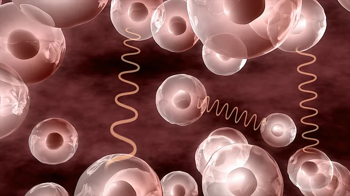 AmpCoil Healthcare Pro Insights - Integrative Well...
