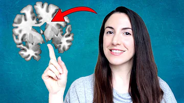 ¿Qué es la sustancia blanca en el cerebro?
