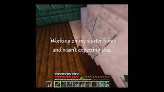 Housewarming Gift Gone Wrong...