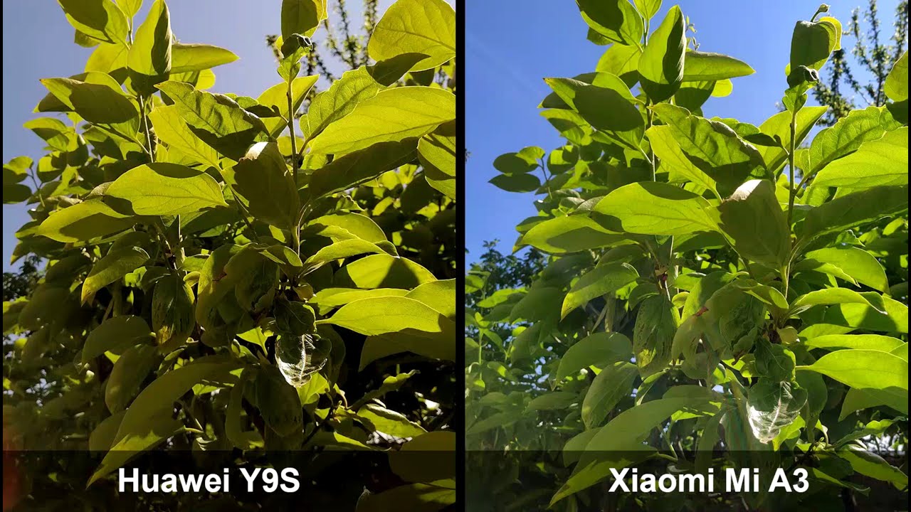 Huawei Y9S Vs. Xiaomi Mi A3 (Android 10) - Camera Comparison