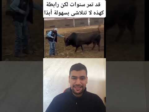 سبحانالله حيوان لن ينسا من أحسن بيه Shortsfeed Shortsfeed Shortsvideo موسيقار Foot Animals 