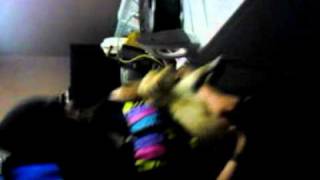 Nia, Karla & Toby In Victors Garage