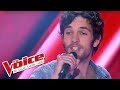 Roger glover  love is all  baptiste defromont  the voice france 2013  blind audition