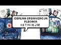 Idealna organizacja plecaka do szkoły? To możliwe! 👍🏻 // Polishnotes