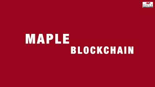 Maple IT Services | Blockchain | Basics | 2020