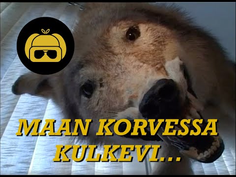 Video: Kuidas 2018. Aastal Kapitaalremondi Eest Seaduslikult Mitte Maksta