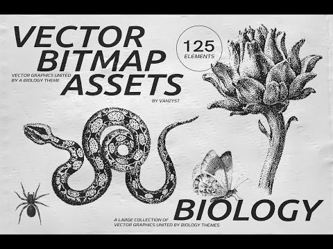 125 Vector Bitmap Assets. Biology, a Graphic by Vanzyst (Thumbnail 16 of 16)