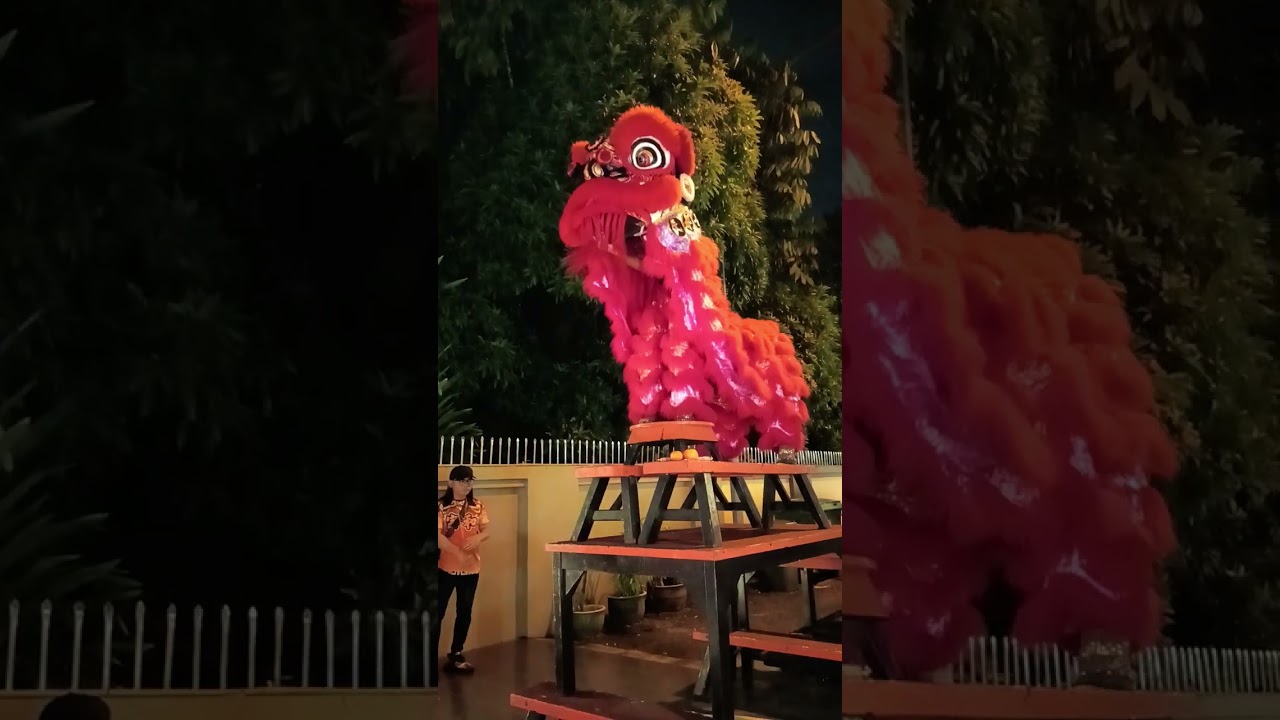 Lion dance beautiful performance #CNY2026 #liondance 