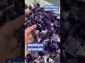 #amethyst #pyramids #shribhavaniexclusive #shippingalloverindia #aurashielding