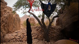 Arabis - Artemis X official music video