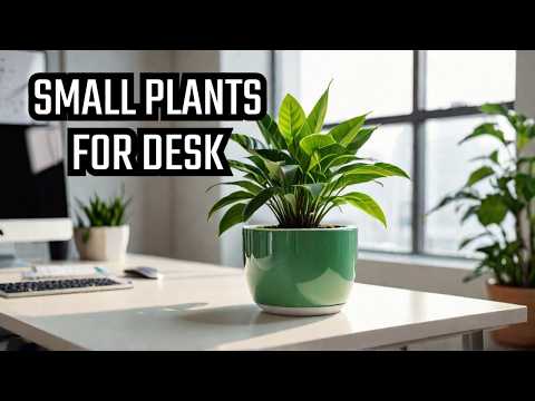 15 Genius Office Desk Plants That Take Up Zero Space! - YouTube