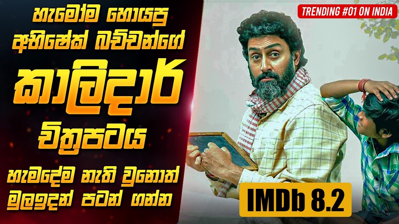 ජීවිතේ එකපාරක් හරි බලන්නම ඕන චිත්‍රපටයක් 🥺 | Kaalidhar Laapata Movie Review Sinhala | She Film