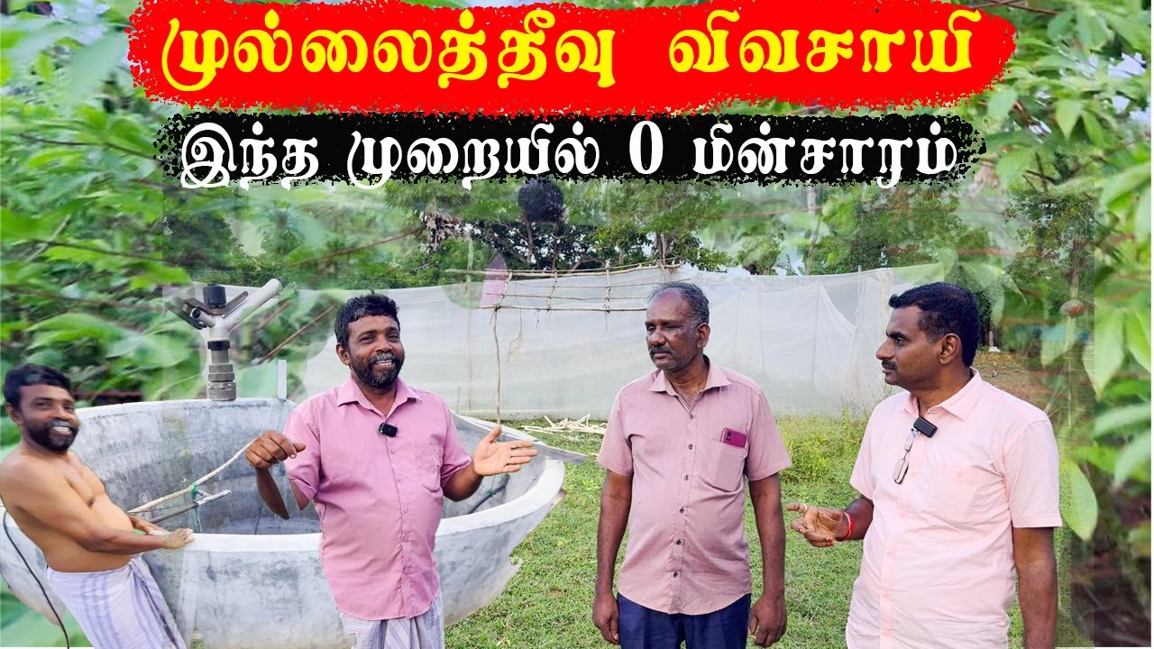 அதிக உற்பத்தி  சாதிக்கும் முல்லைத்தீவு விவசாயி  | zero bill solar | Jaffna Farmer