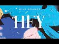 Mild Orange - Hey (Official Audio)