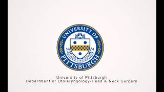 International Visiting Scholars Program