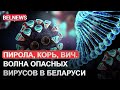 В Беларуси растёт количество заразившихся ВИЧ, корью и новым штаммом коронавируса / BelNews