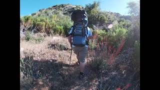 Pine Valley Backpack June 2021
