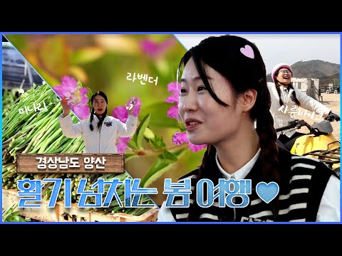 활기 가득! 청정 양산 여행 | 두근두근 경남 (KBS 2023.03.14, 화 방송)