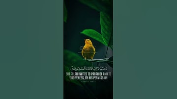 #المصحف #اكسبلور تلاوة خاشعة صوت جميل #quran #لايك #viral