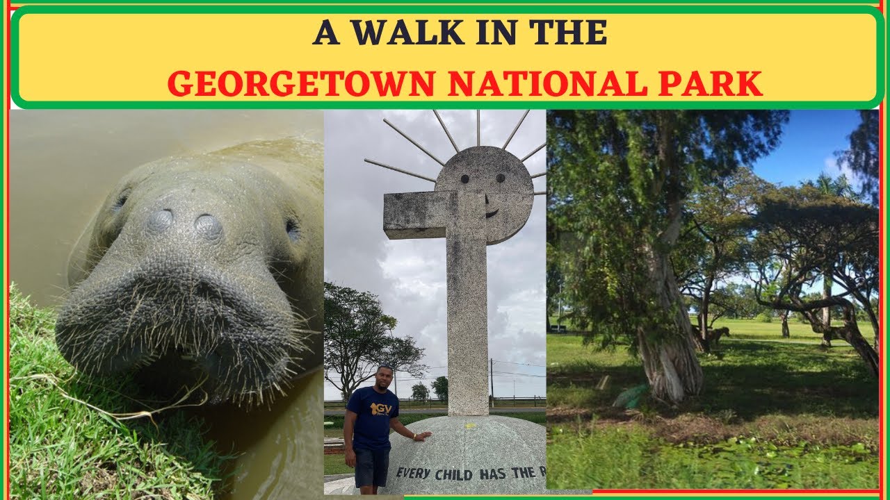 The National Park, in Guyana. YouTube