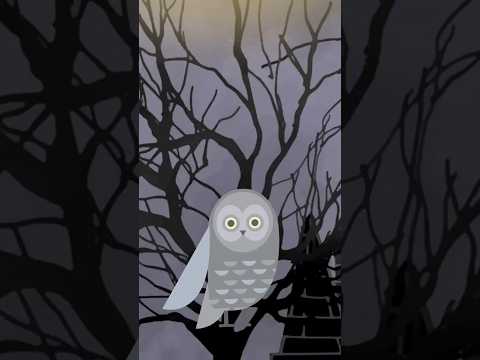 انیمیشن پاییز رادیو چهرازی انیمیشن چهرازی پاییز 