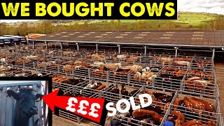 BUYING COWS AT MARKET | GOODBYE EMPTY COW | #CRAWFORDFARMS #193