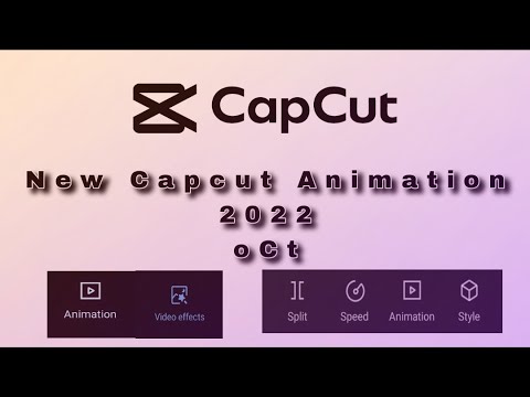 Capcut New 2022 Effect Best Animation Effect - YouTube
