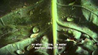 Whats Nano About Toilets?