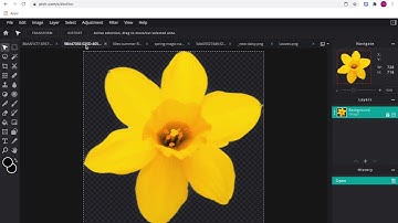 *HOW I CREATE LEAVES PICTURE USING PIXLR E ONLINE ADVANCED PHOTO EDITOR?*