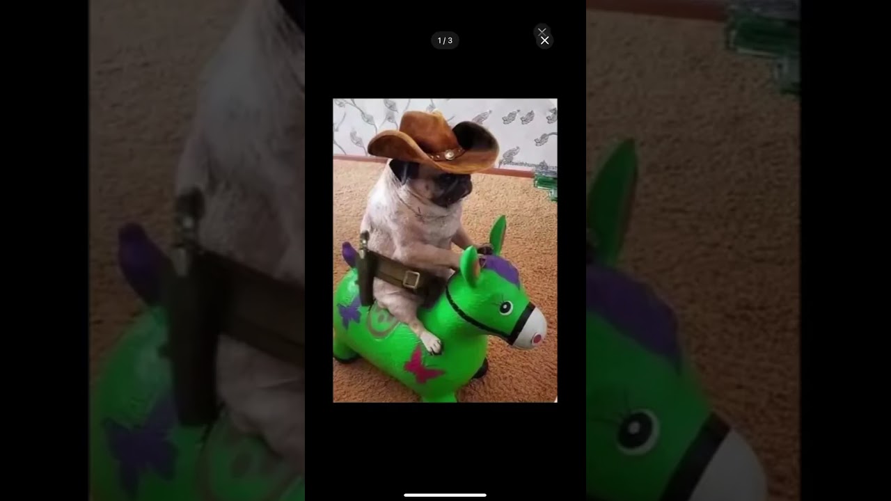 i did cuz i fealt like it 