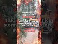 Hot Summer + Deadfall = Forest Fire Bait 🔥
