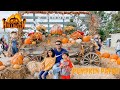 Visiting a Pumpkin Patch at Boone Hall Plantation (in Charleston/ Mt pleasant , SC) 🎃 2021