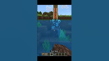 Minecraft Only in bedrock #minecraft #shorts