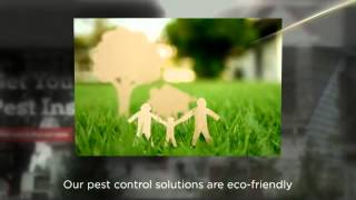 Lawrence Pest Control