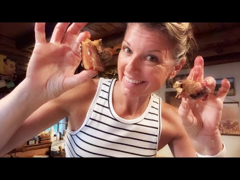 Baked Bacon Wrapped Dove Breasts