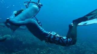 diving without BCD.wmv
