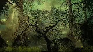 Dark Forest Psychedelic Trance Mix @ VA