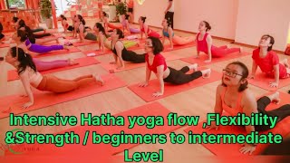 45 min intensive hatha yoga , flexibility & strength / beginners to intermediate level #yoga